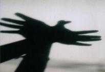 La-scelta-della-nonviolenza