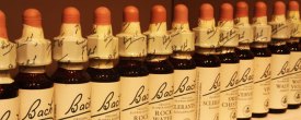 bach-flower-remedies